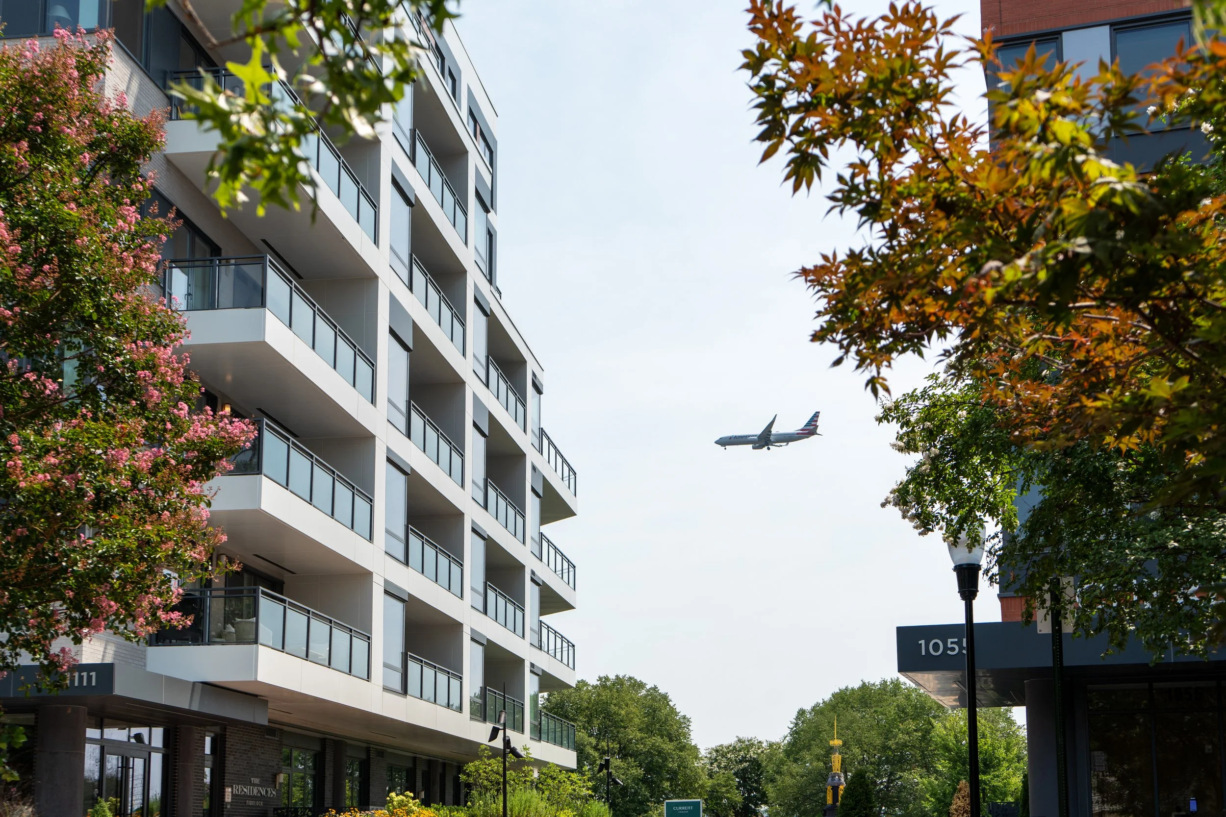 DSC01961.jpg