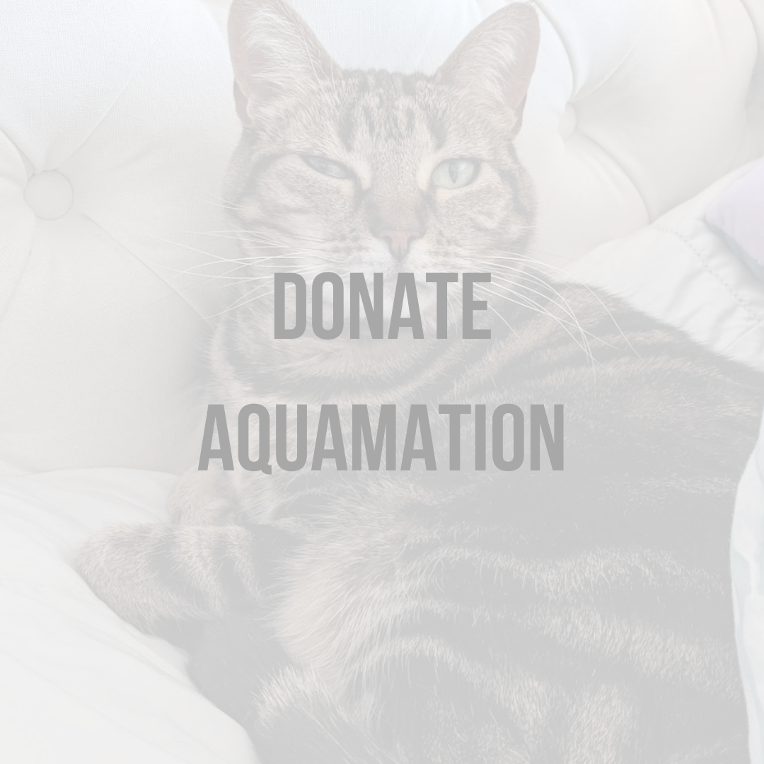 Donate an Aquamation