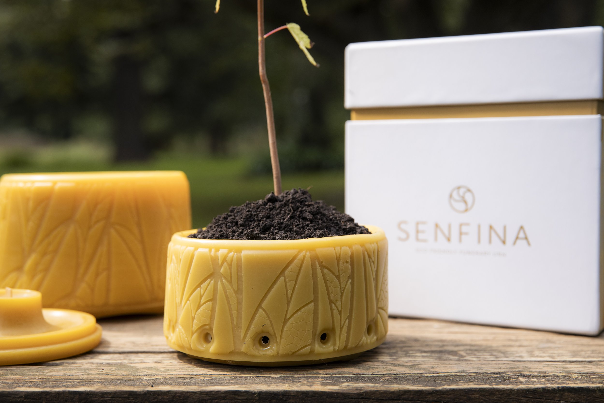 SenfinaPkit2.jpg