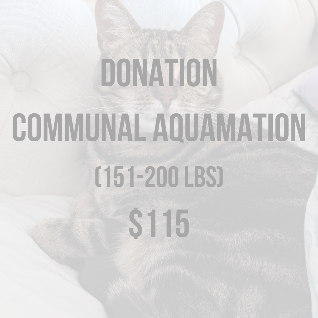 Donate115.png