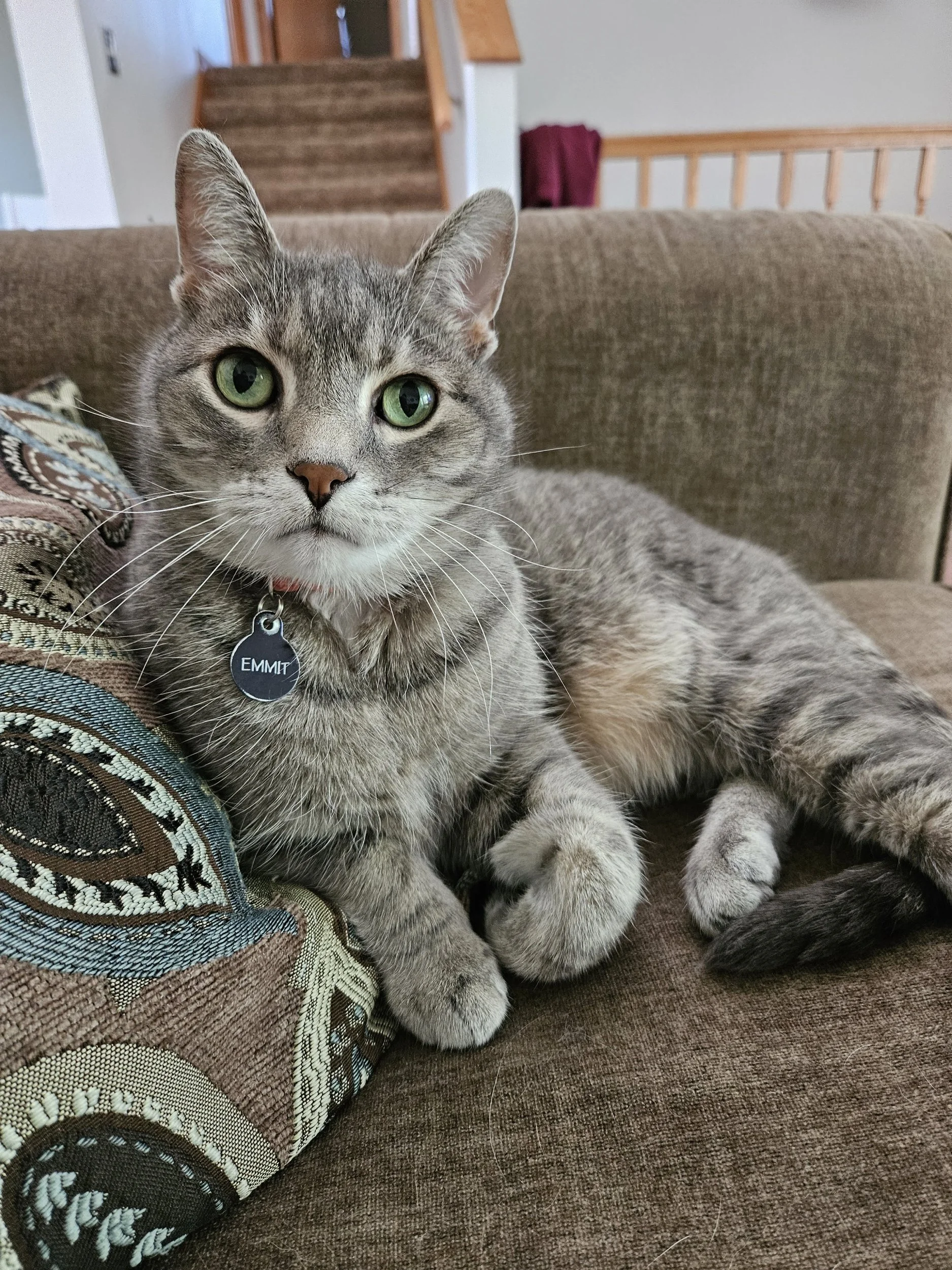 In Loving Memory of Emmit Smith