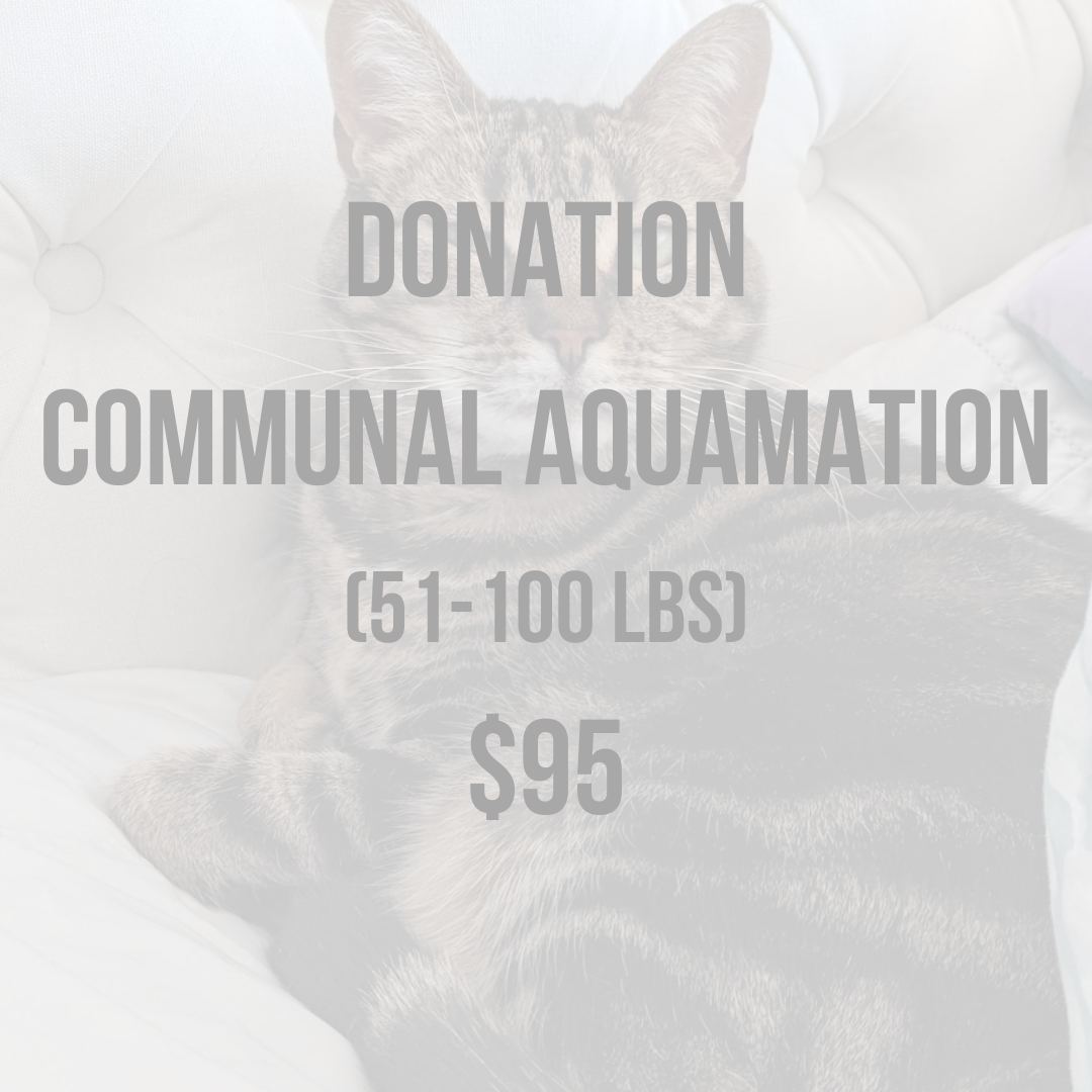 Donate95.png