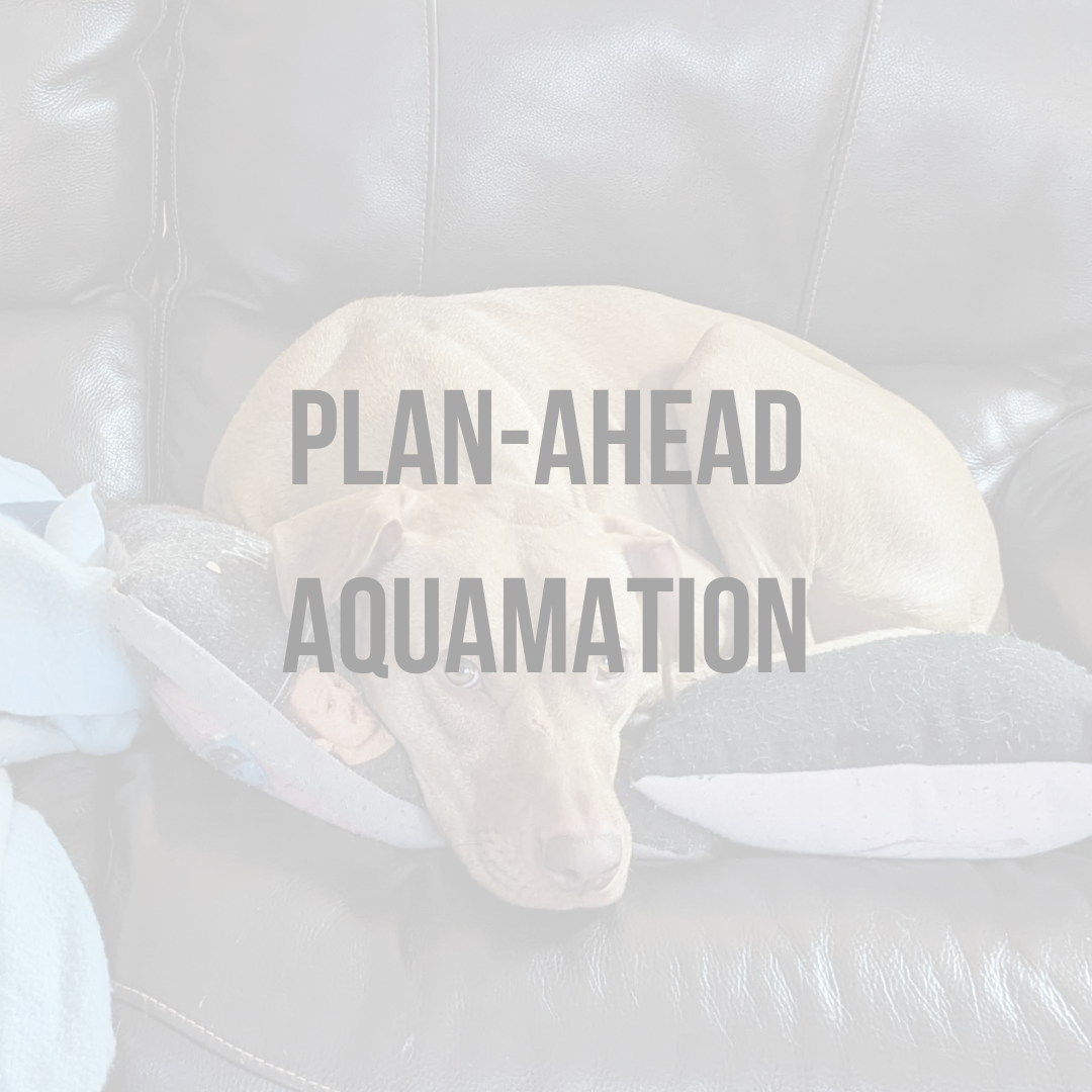 Plan-Ahead Reservations