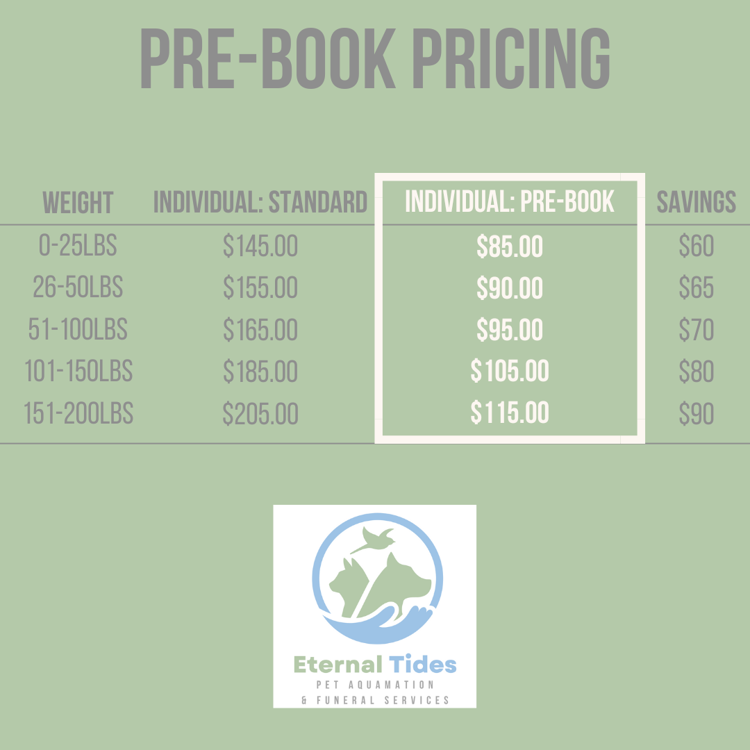 PreBook3.png