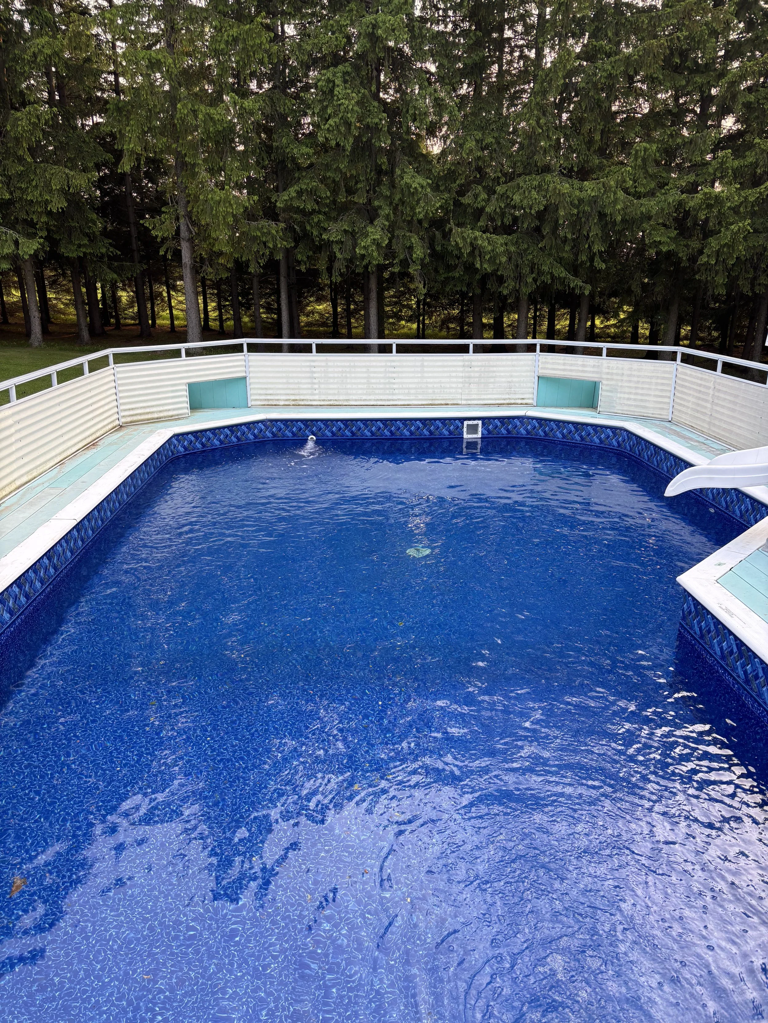 pool with blue liner.jpeg