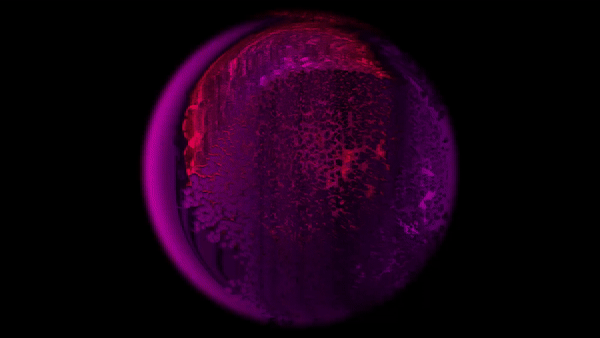 GIF 16