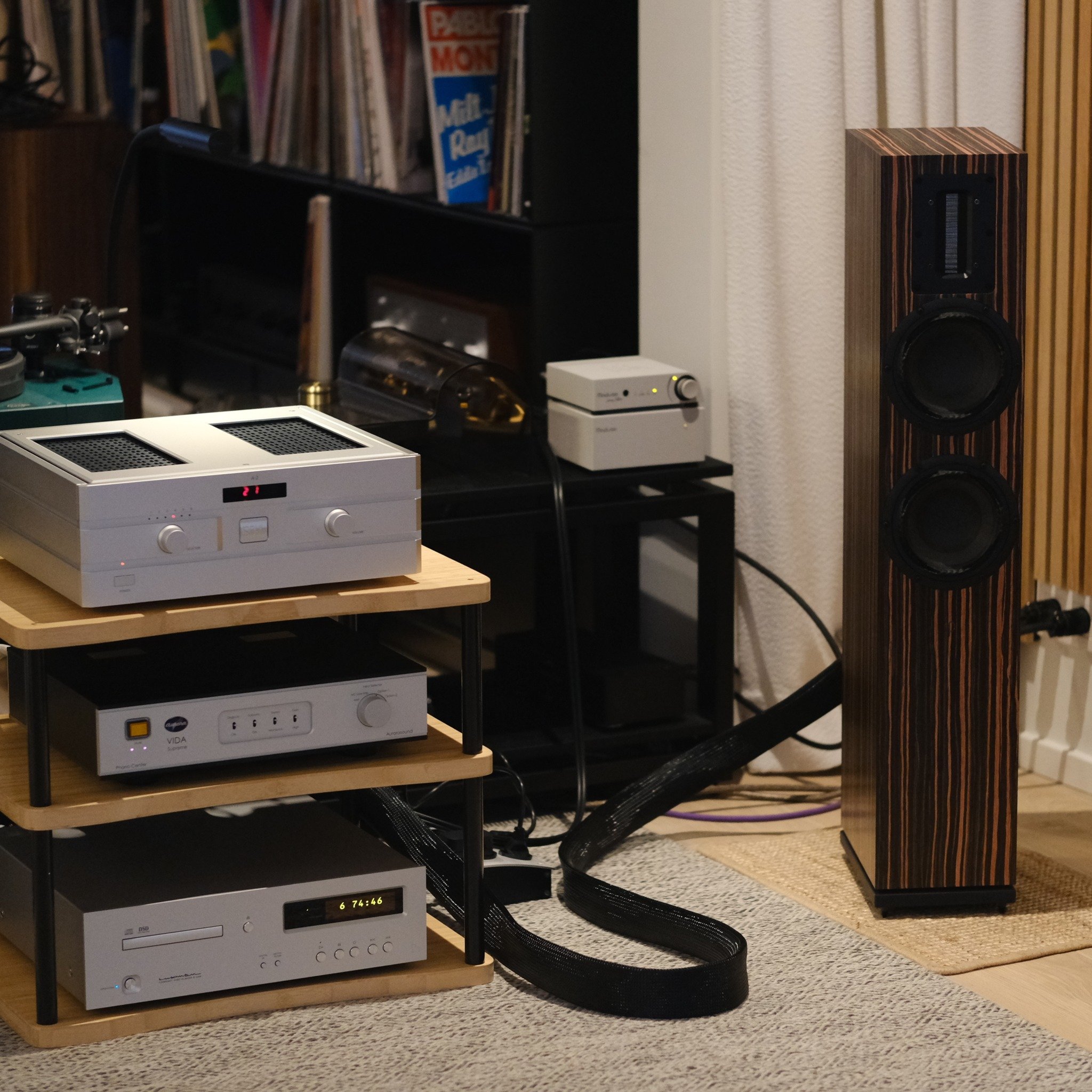 The OePhi Immanence 2.5 speakers have landed in our store! Handcrafted in Denmark, they look stunning in their Makassar finish. We&rsquo;re running them in, but they already sound fantastic straight out of the box!

@oephi_audio #oephiimmanence25 #hi