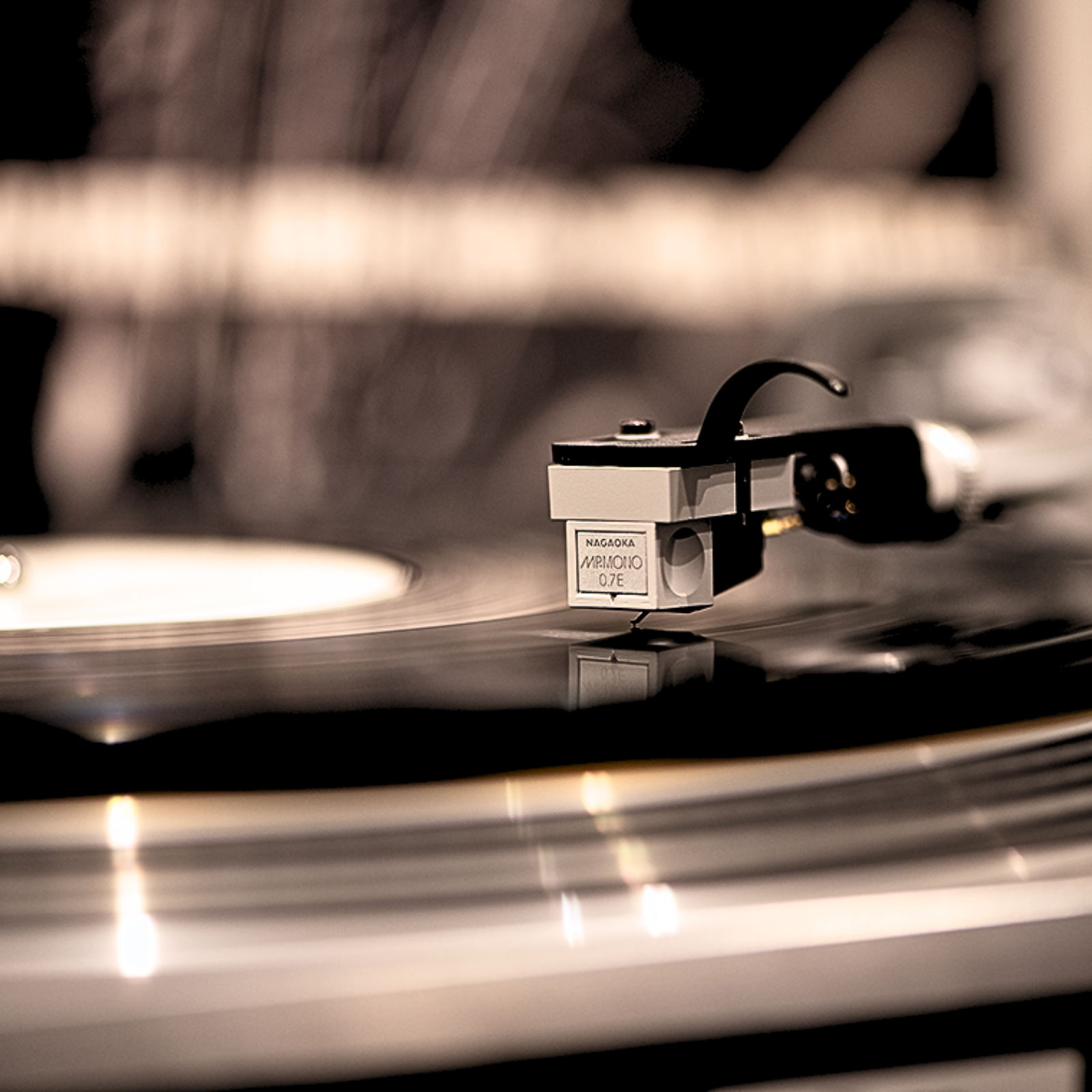 Walden High-End Audio Nagaoka MP-MONO Phono Cartridge