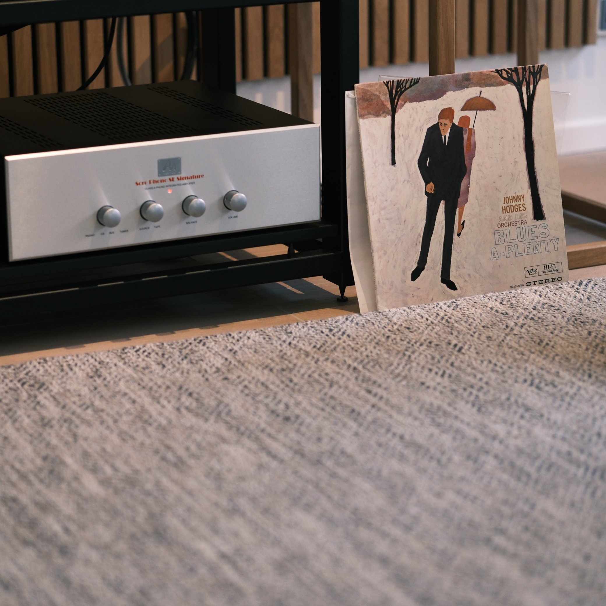 Why the Audio Note SORO Deserves Your Attention