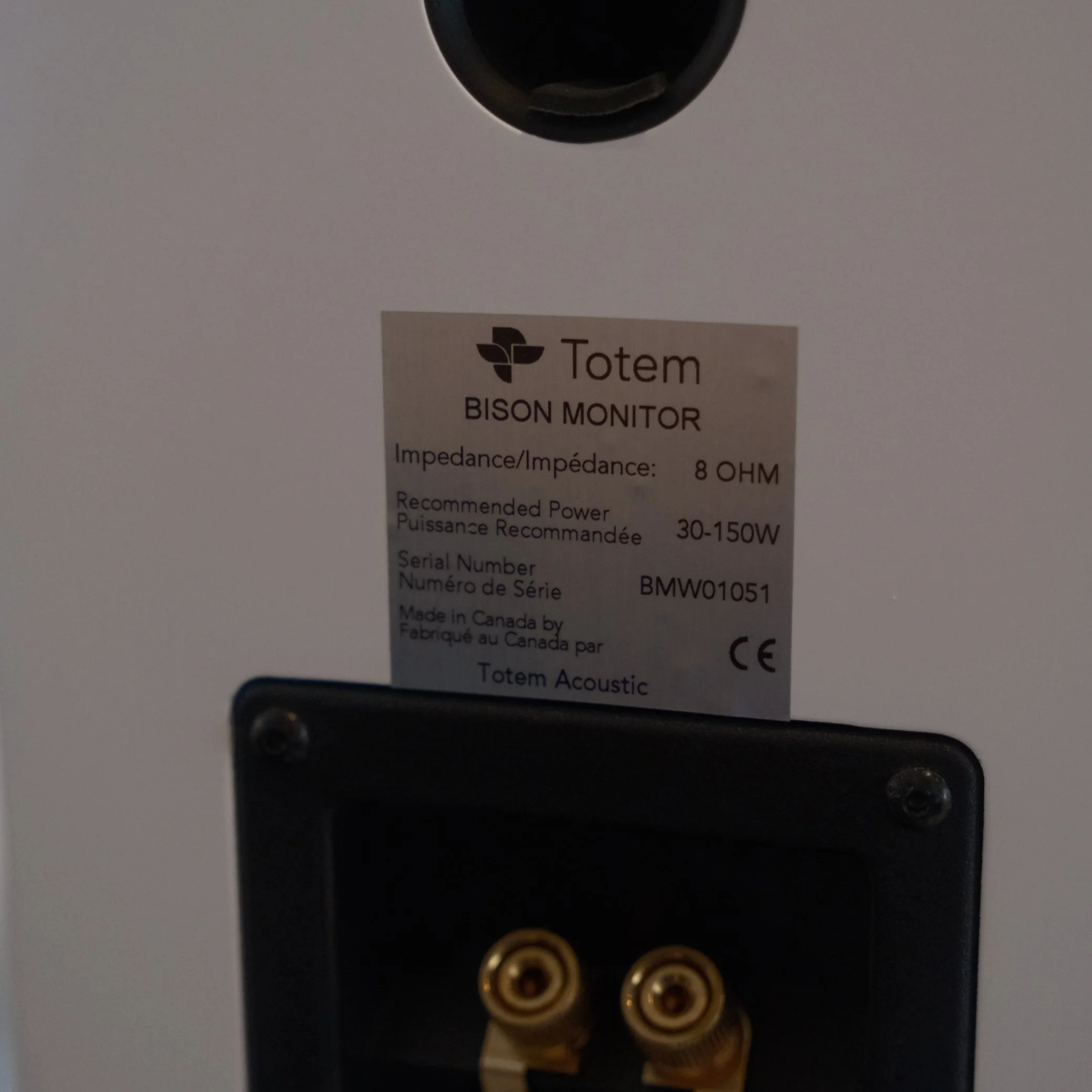 Walden High-End Audio TOTEM Bison Monitor Speakers 2.jpg