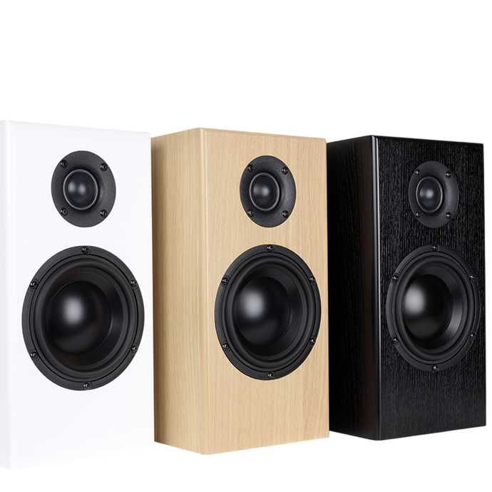 Totem Bison Monitor Speaker