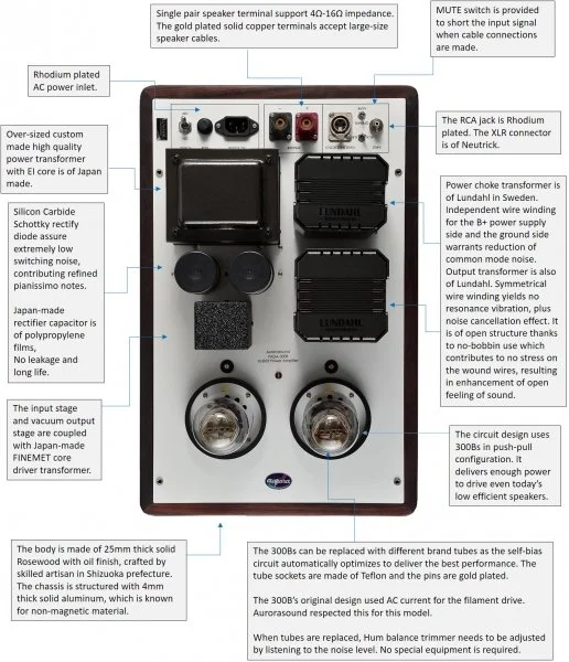 Walden High-End Audio Aurorasound PADA 300B Monoblock Power Amplifier