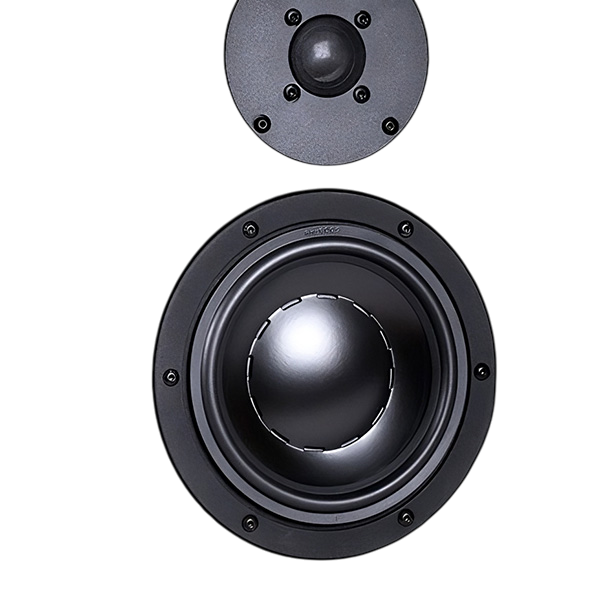 Totem Tribe Duo On-Wall Speaker