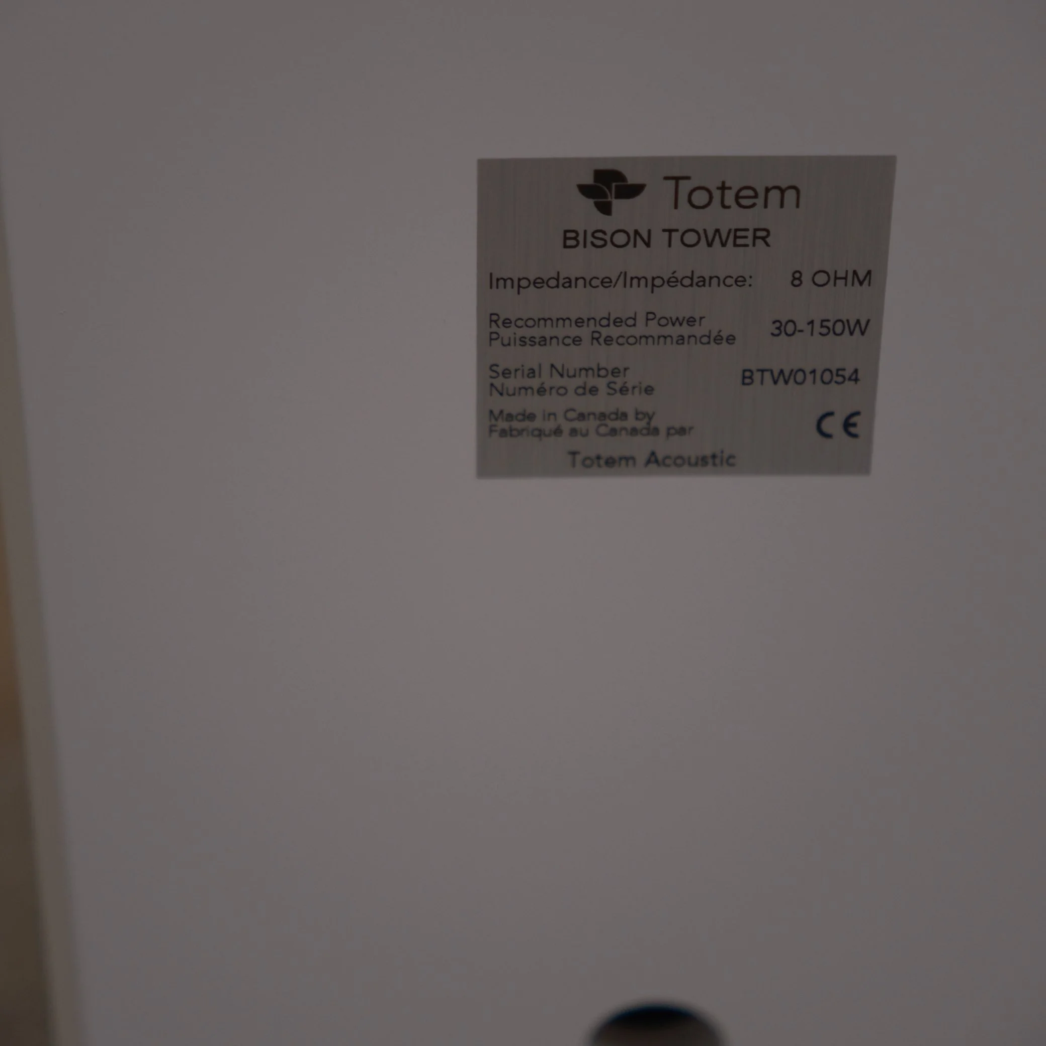 Walden High-End Audio TOTEM Tower Speaker 2.jpg