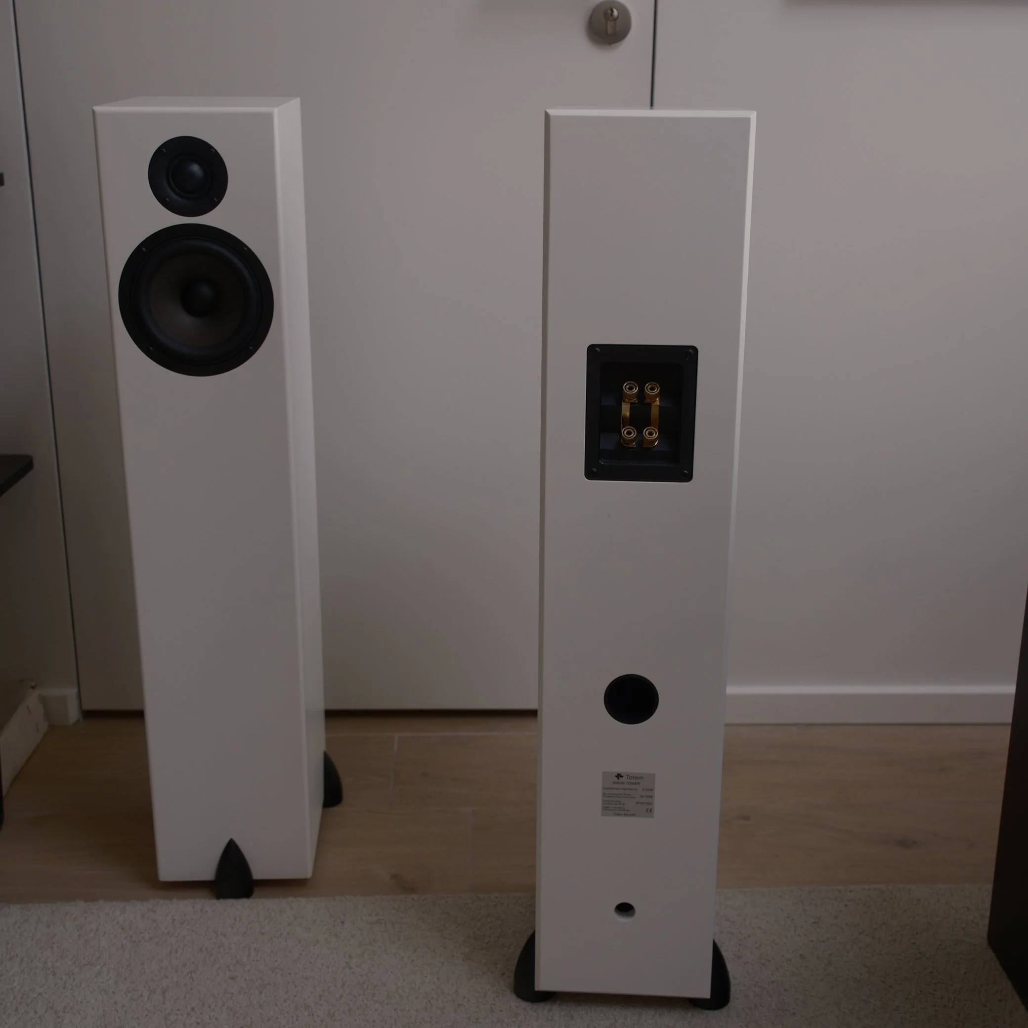 Walden High-End Audio TOTEM Tower Speaker 3.jpg