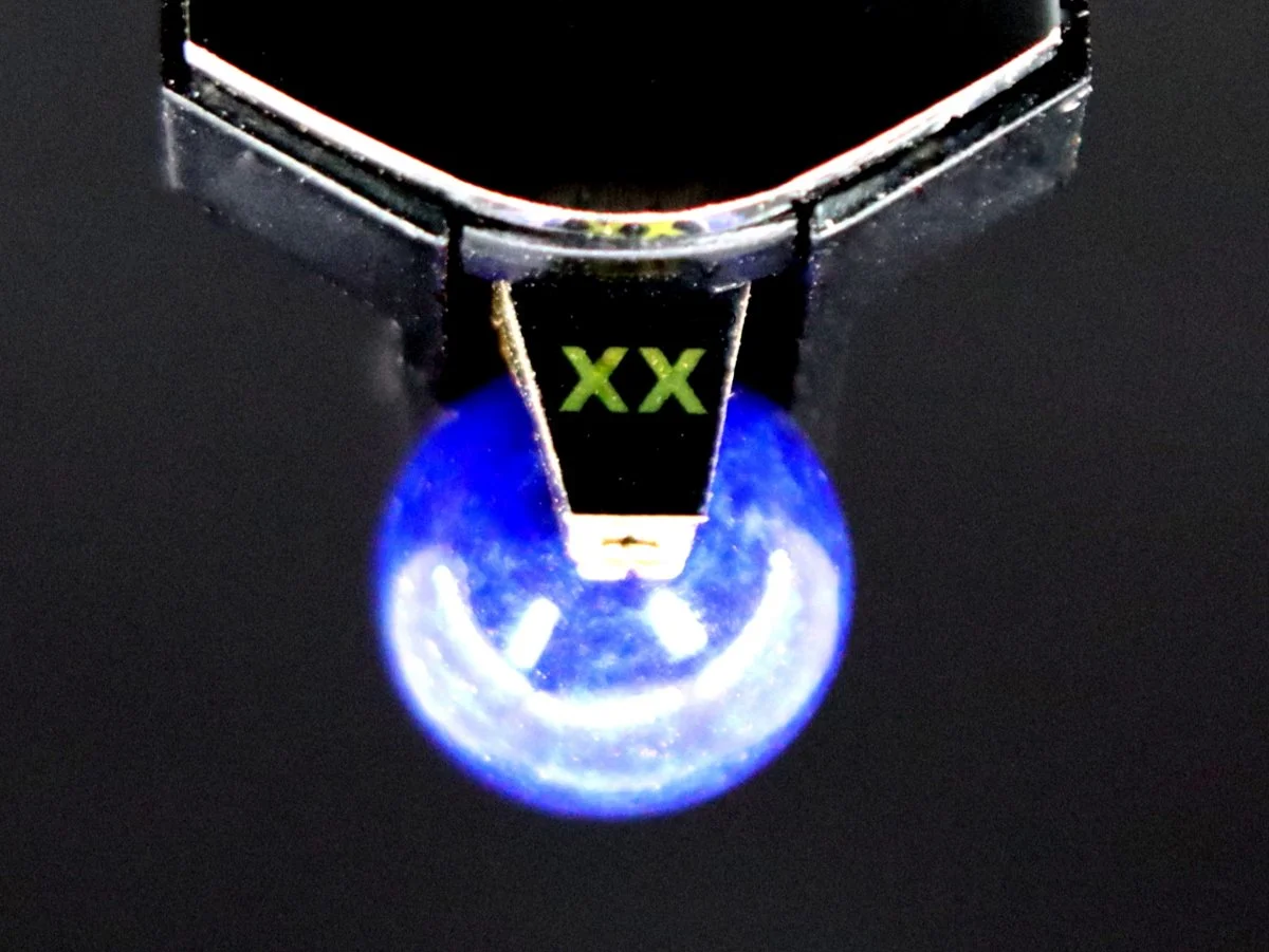 Walden High-End Audio ZYX VX ASTRO Phono Cartridge