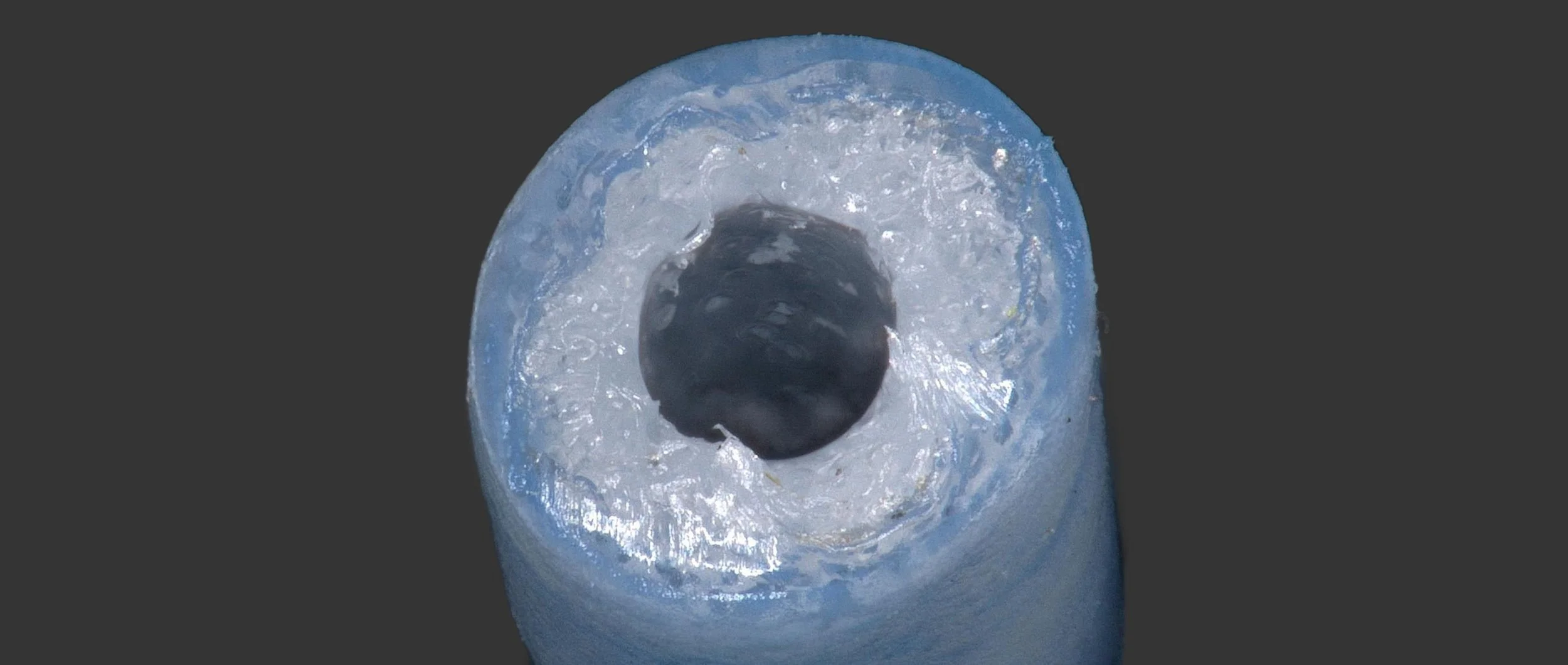 Walden High-End Audio AIM Dealer