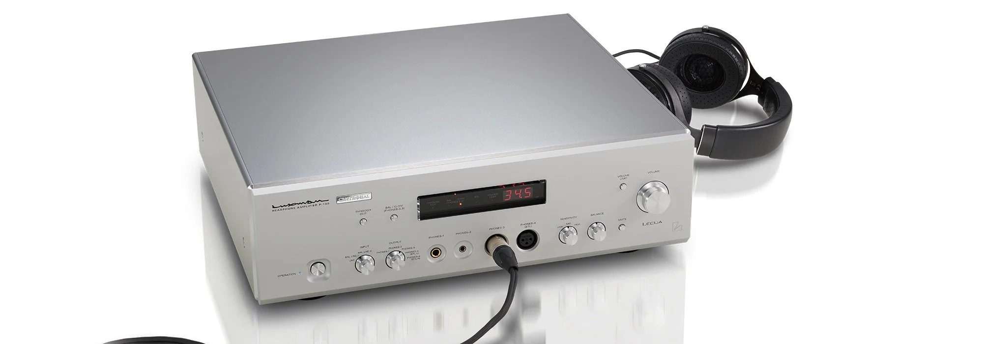 Walden High-End Audio P-100 Centennial Headphone Amplifier 1.jpeg