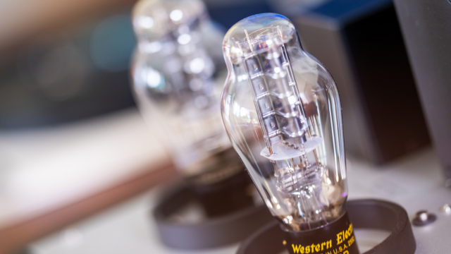 Western Electric 300B-buis - PADA-300B monoblokken bij Walden High-End Audio, Officiële Aurorasound - Western Electric-dealer, Hi-Fi Brussel, Versterkers Brussel, High-End Audio Brussel, Hi-Fi Tervuren, Audiofiel België