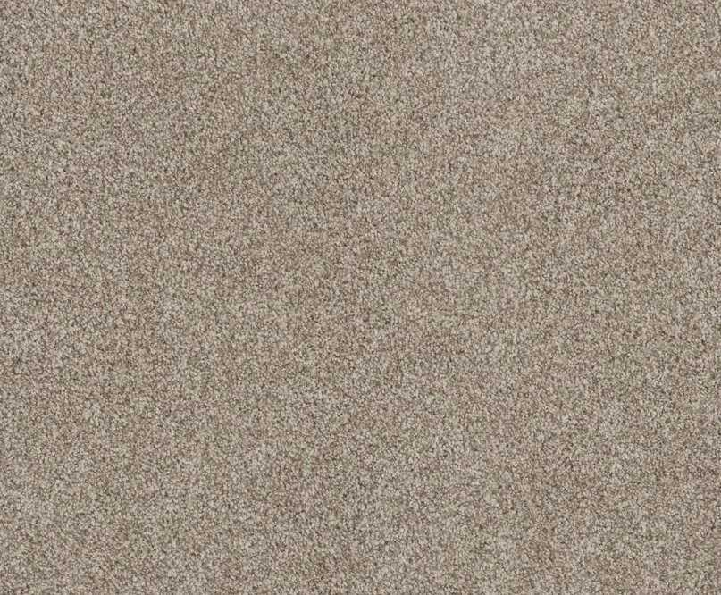 Dreamweaver Residential Carpet / Collection: Stunning / Color: Seashells / (Available in 19 additional colors!) / Click on picture above to see additional colors!