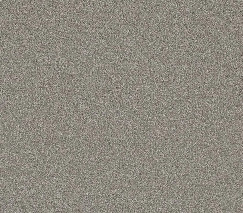 Dreamweaver Residential Carpet / Collection: Royale I / Color: Winterscape / (Available in 11 other colors!) / Click on picture above to see additional colors!