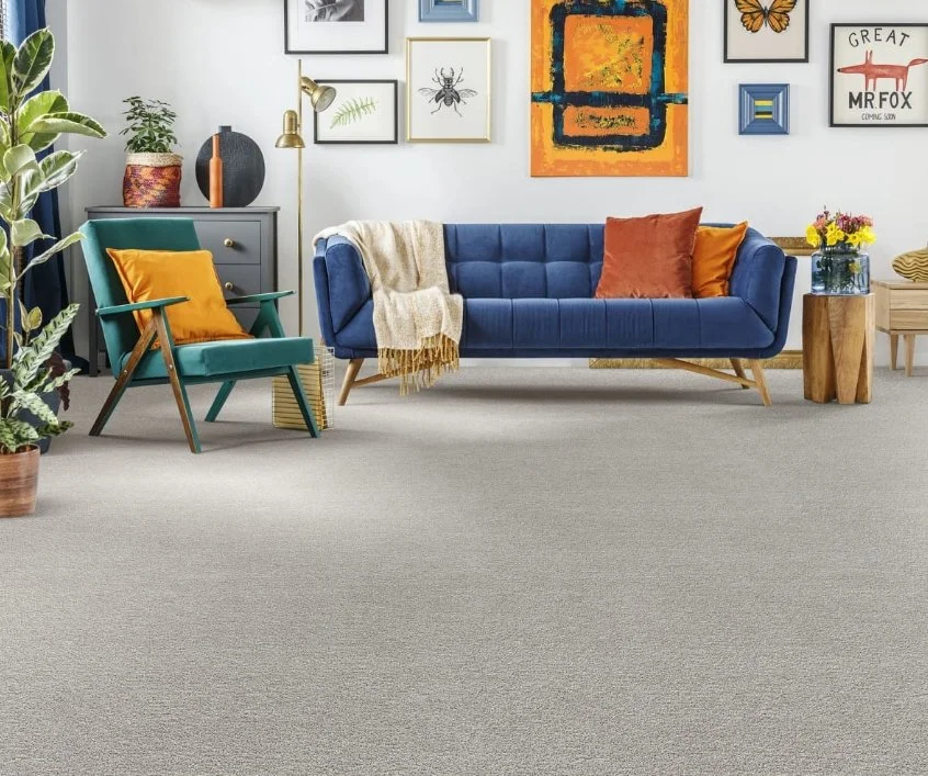 Dreamweaver Residential Carpet / Collection: Captivating I / Color: Ocean Mist / (Available in 19 other colors!) / Click on picture above to see additional colors!