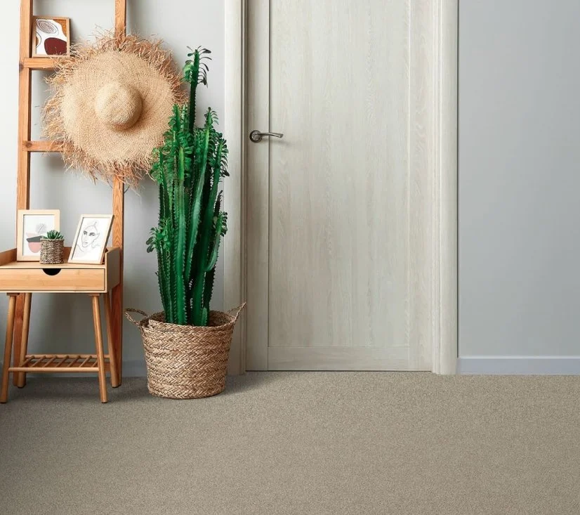 Dreamweaver Residential Carpet / Collection: Reflections II / Color: Seashells / (Available in 19 other colors!) / Click on picture above to see additional colors!