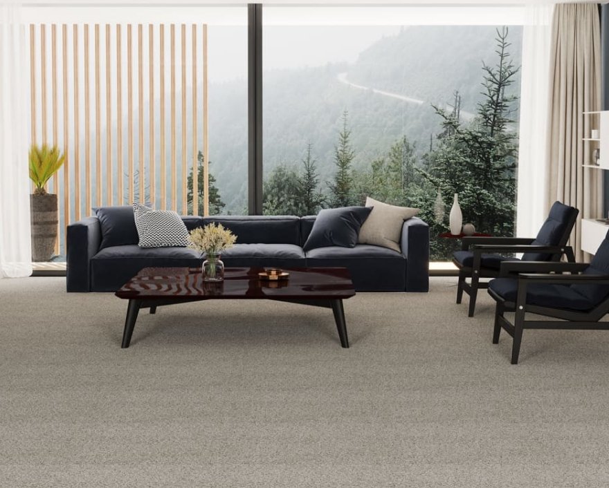 Dreamweaver Residential Carpet / Collection: Parade / Color: Starry Sky / (Available in 12 other colors!) / Click on picture above to see additional colors!