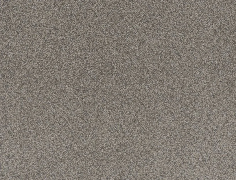 Dreamweaver Residential Carpet / Collection: Beach Club III / Color: Canyon / (Available in 20 other colors!) / Click on picture above to see additional colors!
