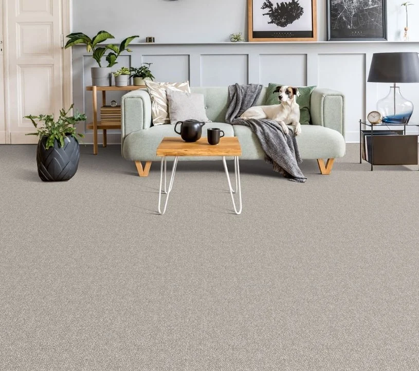 Dreamweaver Residential Carpet / Collection: Interstellar / Color: Pearl Glacier / (Available in 8 other colors!) / Click on picture above to see additional colors!