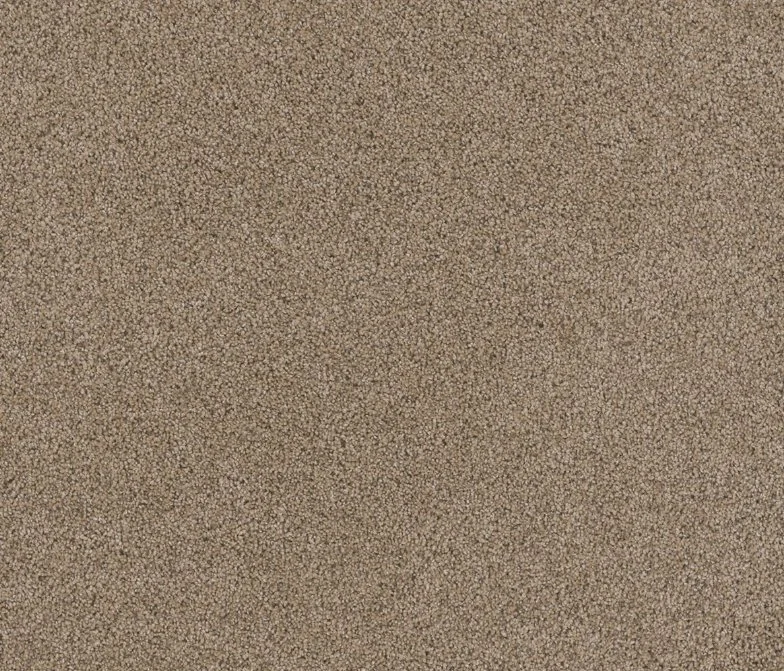 Dreamweaver Residential Carpet / Collection: Stunning / Color: Ginger / (Available in 19 additional colors!) / Click on picture above to see additional colors!