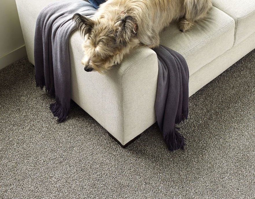 Dreamweaver Residential Carpet / Collection: Titan I / Color: Luna Pearl / (Available in 11 other colors!) / Click on picture above to see additional colors!