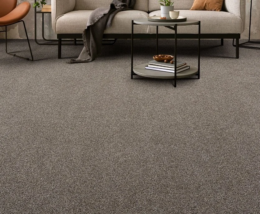 Dreamweaver Residential Carpet / Collection: Gold Standard III / Color: Benchmark / (Available in 19 other colors!) / Click on picture above to see additional colors!