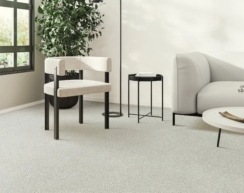 Dreamweaver Residential Carpet / Collection: Clear Skies I / Color: Snowbird / (Available in 16 other colors!) / Click on picture above to see additional colors!