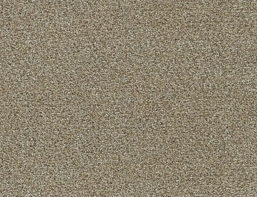 Dreamweaver Residential Carpet / Collection: Clearwater III / Color: Toasted Oat / (Available in 19 other colors!) / Click on picture above to see additional colors!