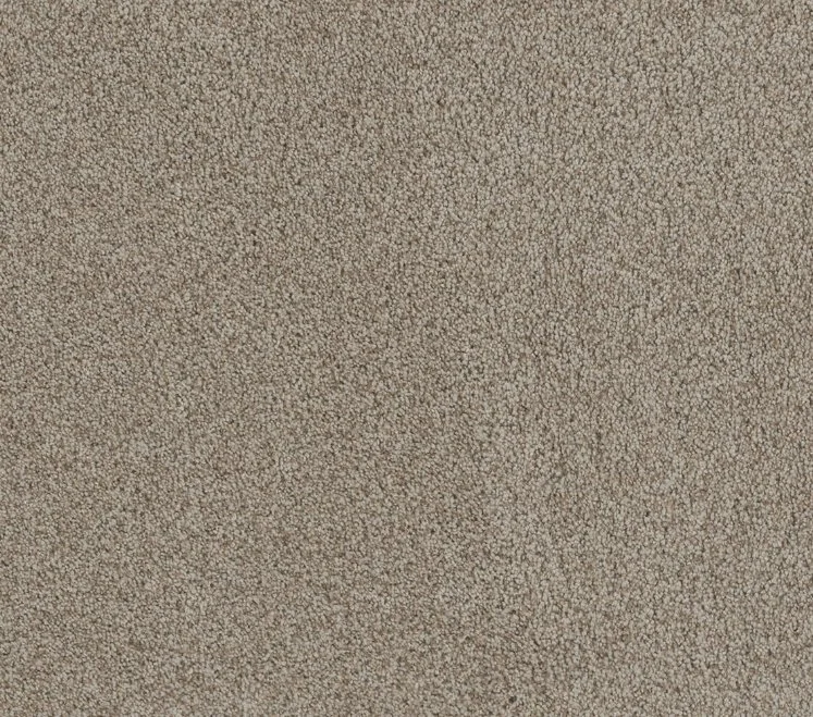 Dreamweaver Residential Carpet / Collection: Stunning / Color: Stucco / (Available in 19 additional colors!) / Click on picture above to see additional colors!