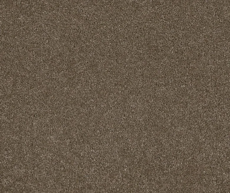 Dreamweaver Residential Carpet / Collection: Stunning / Color: Peppercorn / (Available in 19 additional colors!) / Click on picture above to see additional colors!