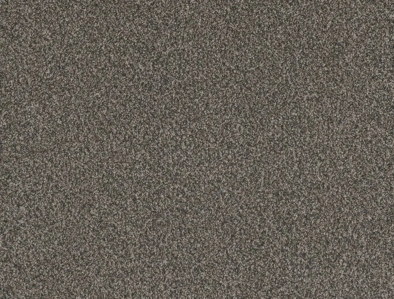 Dreamweaver Residential Carpet / Collection: Titan III / Color: Castle Rock / (Available in 11 other colors!) / Click on picture above to see additional colors!