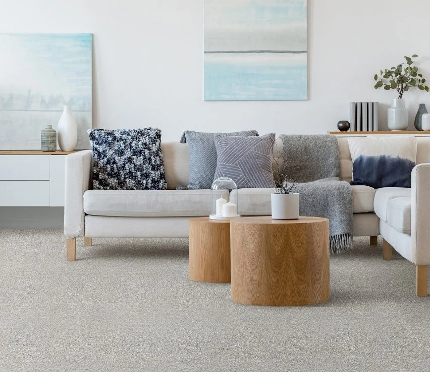 Dreamweaver Residential Carpet / Collection: Lucky Penny III / Color: Kenbrook / (Available in 19 other colors!) / Click on picture above to see additional colors!