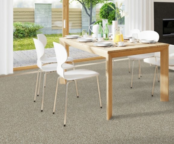 Dreamweaver Residential Carpet / Collection: Breakview II / Color: Grounded / (Available in 19 other colors!) / Click on picture above to see additional colors!