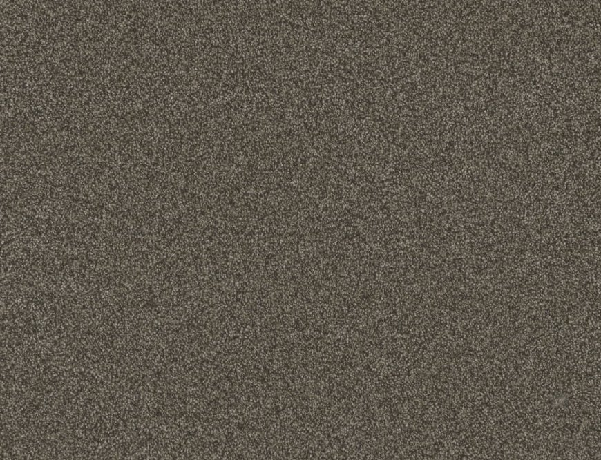 Dreamweaver Residential Carpet / Collection: Blazer III / Color: French Roast / (Available in 15 other colors!) / Click on picture above to see additional colors!