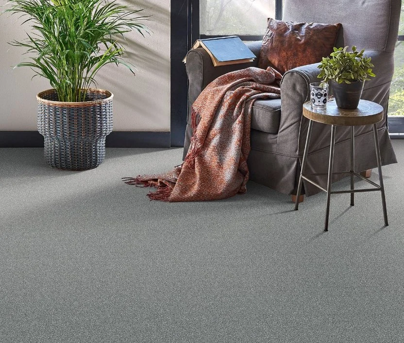 Dreamweaver Residential Carpet / Collection: Clearwater I / Color: Moonglow / (Available in 19 other colors!) / Click on picture above to see additional colors!