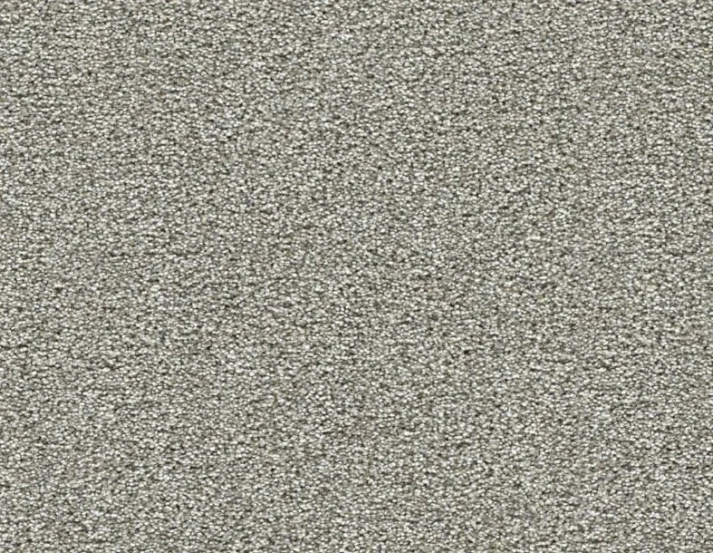 Dreamweaver Residential Carpet / Collection: Breakview III / Color: Ambience / (Available in 19 other colors!) / Click on picture above to see additional colors!