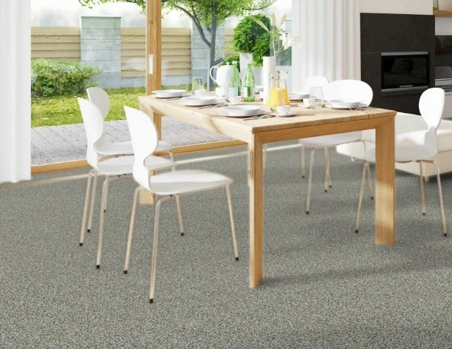 Dreamweaver Residential Carpet / Collection: Breakview III / Color: Ambience / (Available in 19 other colors!) / Click on picture above to see additional colors!