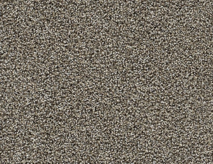 Dreamweaver Residential Carpet / Collection: Captivating III / Color: Dark Truffle / (Available in 19 other colors!) / Click on picture above to see additional colors!