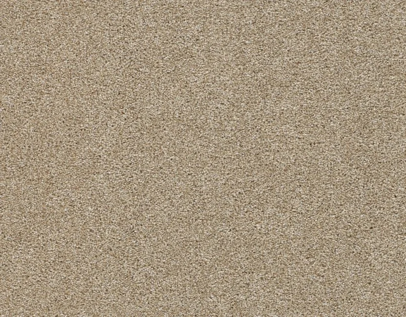 Dreamweaver Residential Carpet / Collection: Silver Lining IV / Color: Cumulus / (Available in 15 other colors!) / Click on picture above to see additional colors!