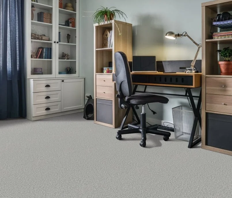 Dreamweaver Residential Carpet / Collection: Metropolis I / Color: Winter Bliss / (Available in 14 other colors!) / Click on picture above to see additional colors!