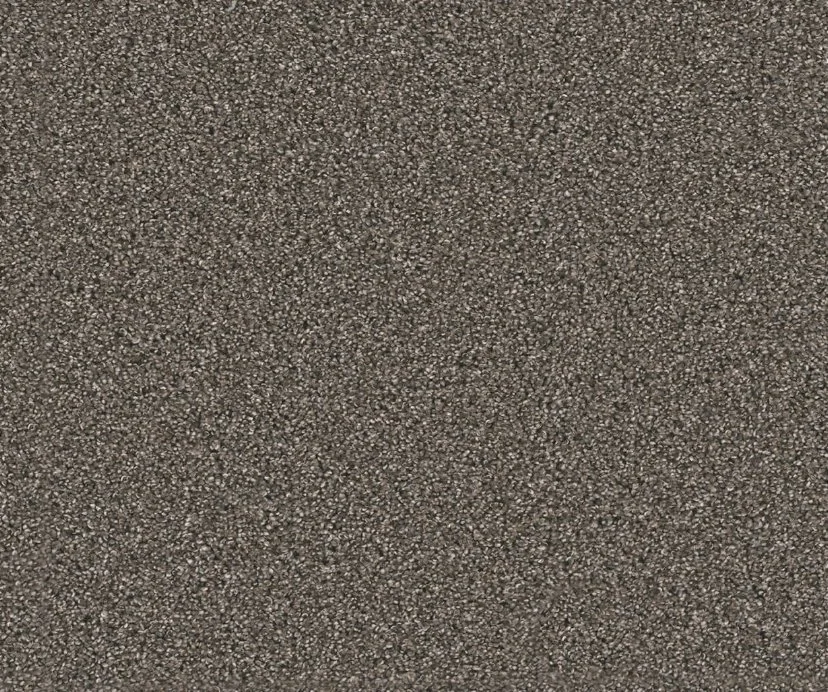 Dreamweaver Residential Carpet / Collection: Windy City II / Color: Rugby / (Available in 15 other colors!) / Click on picture above to see additional colors!
