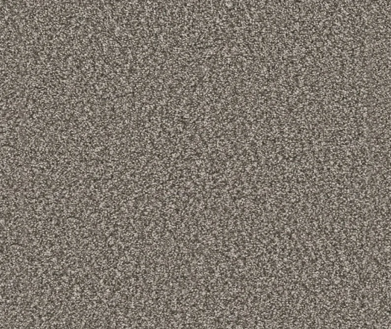 Dreamweaver Residential Carpet / Collection: Windy City III / Color: Olivewood / (Available in 15 other colors!) / Click on picture above to see additional colors!