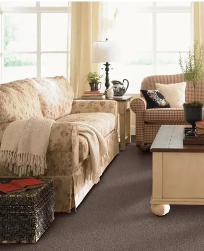 Mohawk Everstrand Residential /
Collection: Champion II /
Color: Oyster /
(Available in 11 other colors!) /
Click on picture above to see additional colors!